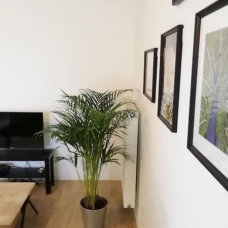 Appartement Proche Chu Avec Balcon Et Parking Lille Eksteriør billede